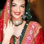 Pakistani Style Saree