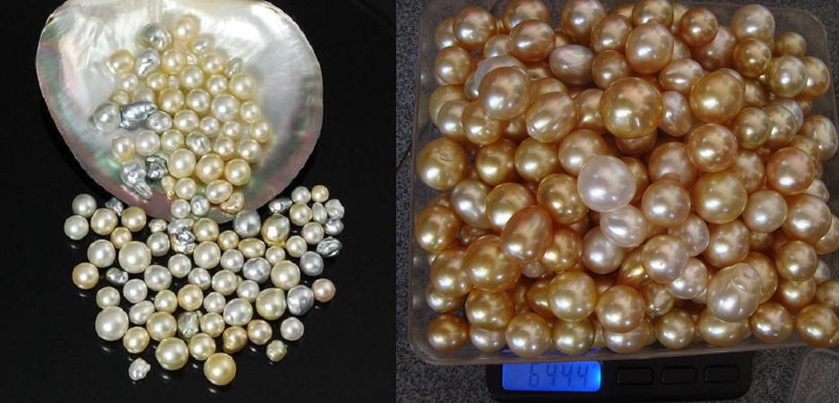 South Sea Pearls