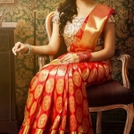 Designer Silk Saree