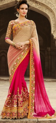 Sheer and Opaque Saree