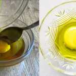 Egg & Olive Oil