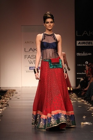 Panelled lehenga