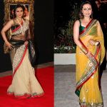 Sheer Saree For Plus Size Body