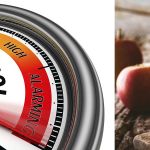 Apple Cedar Vinegar For Reducing Cholesterol