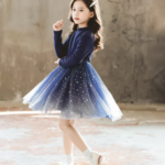 Blue Full Sleeves Dress