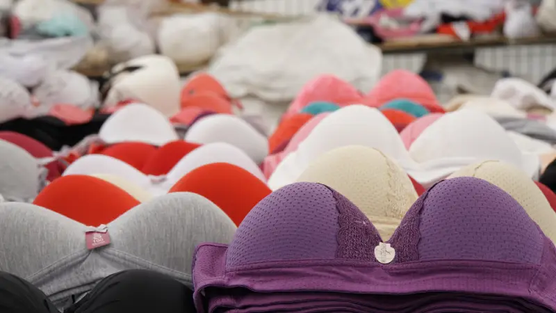 Everyday Bras