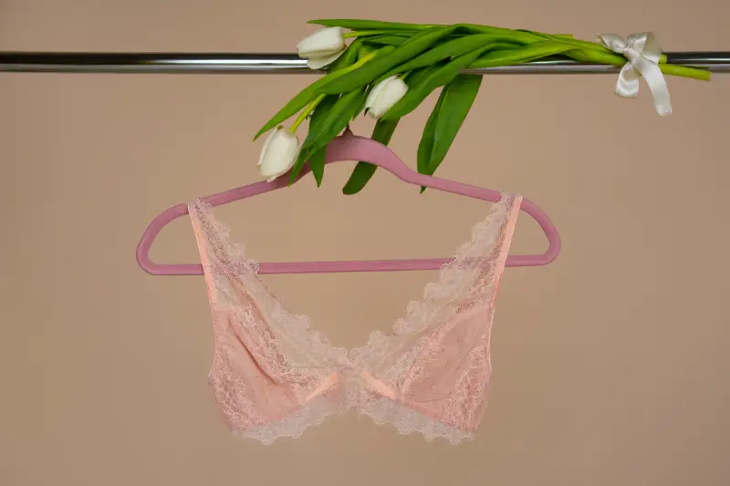 Transparent Bra